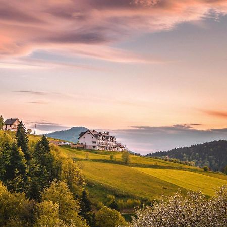 Skrzydlna Blizej Nieba B&B 외부 사진